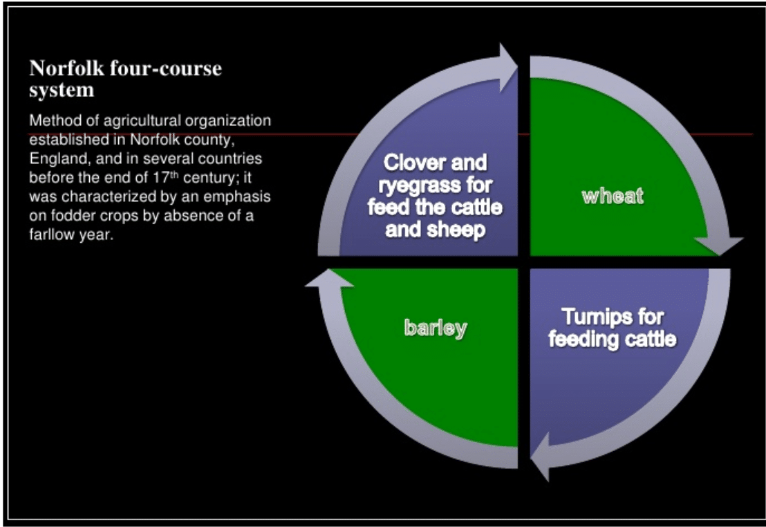 rotation-easy-to-understand-definition